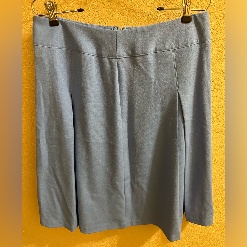 Pleated Skirt